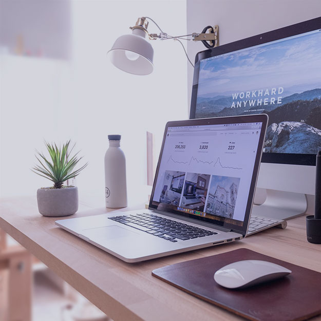 Does My Small Business Really Need SEO? The Truth About ROI, Leads, and Long-Term Growth - serpweave